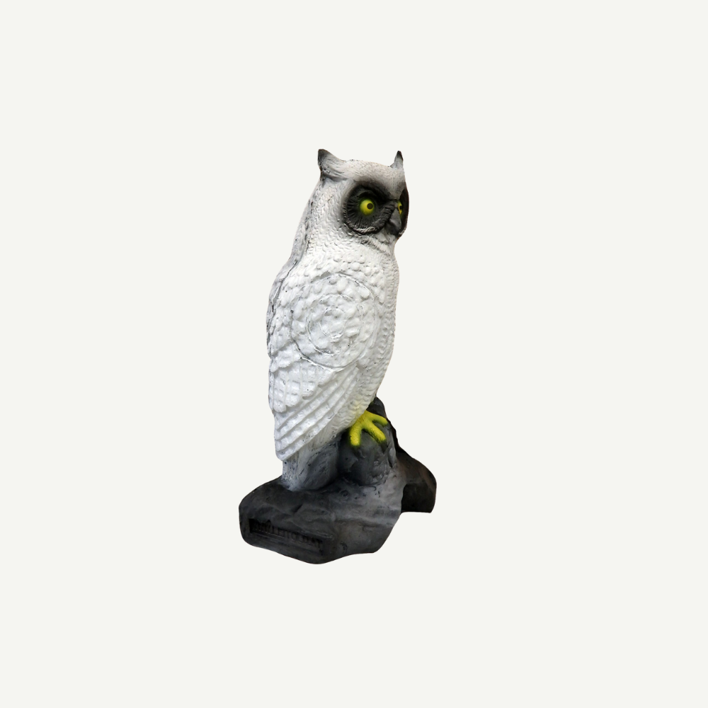 100212 Leitold Snow Owl