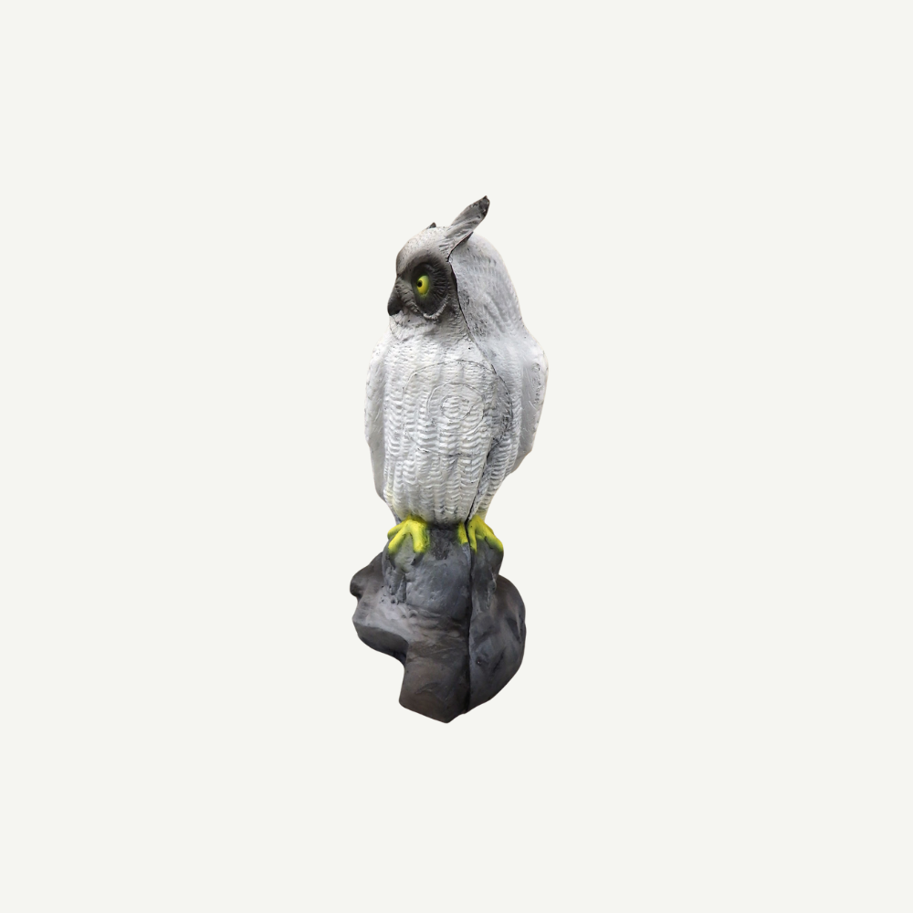 100212 Leitold Snow Owl