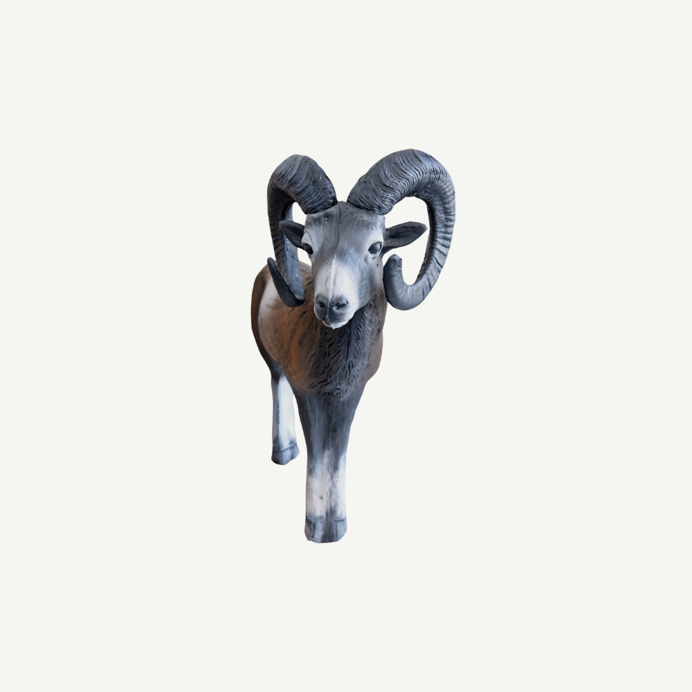 100228 Leitold Standing Mouflon