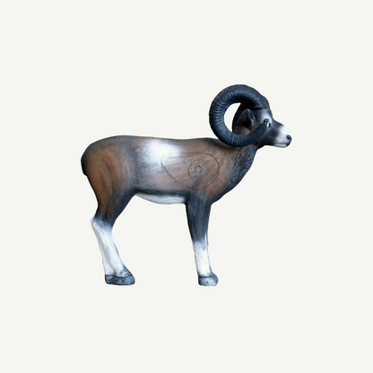 100228 Leitold Standing Mouflon