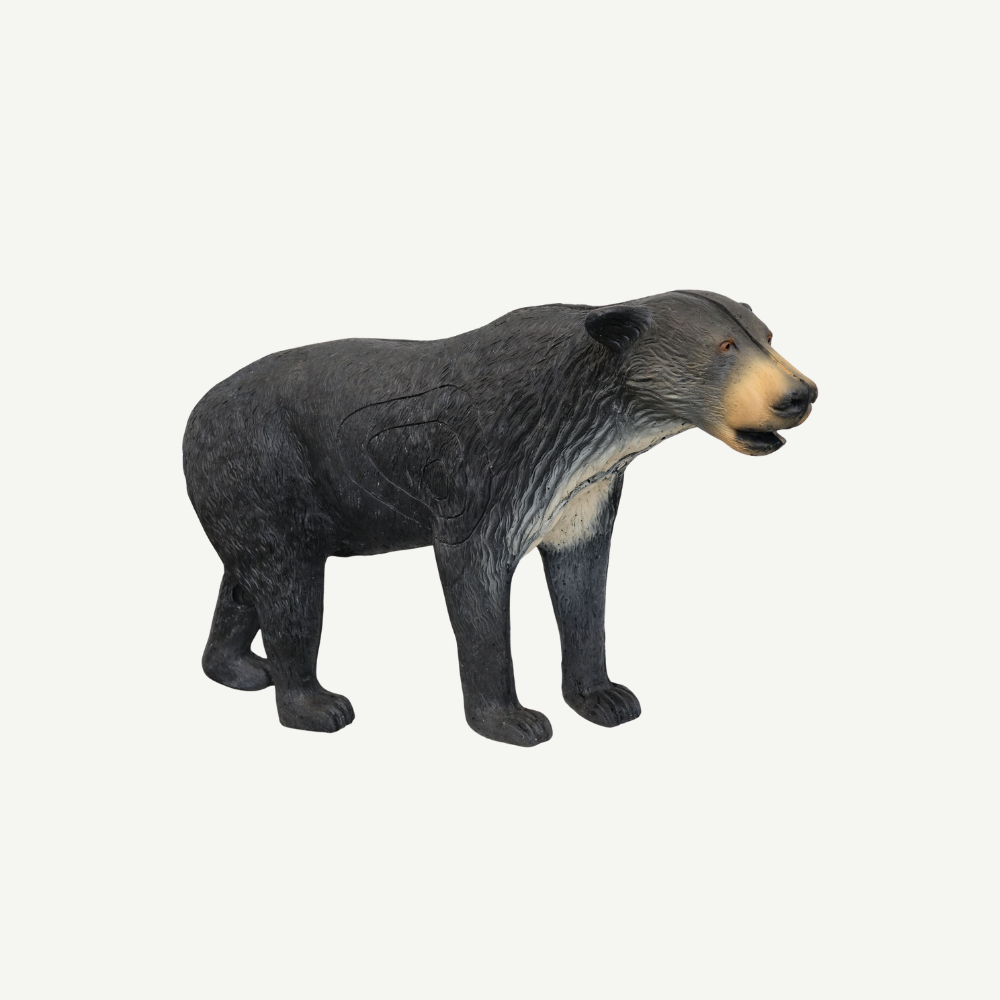 100272 Leitold Walking Black Bear