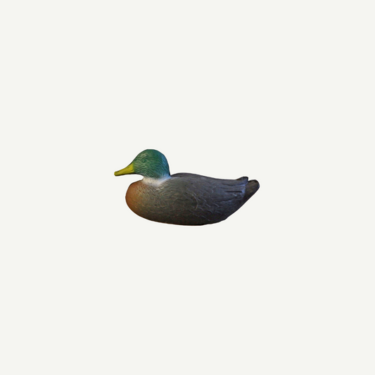 100277 Leitold Duck