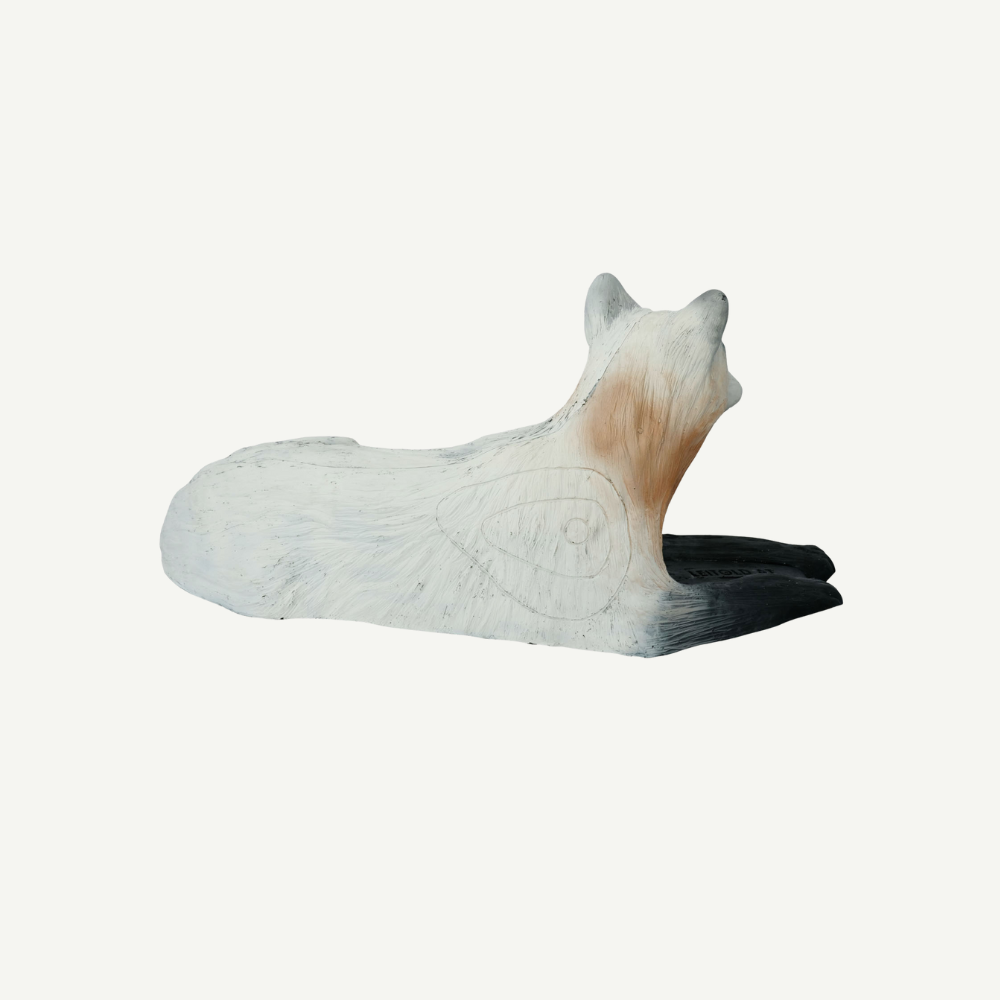 100304 Leitold Lying Arctic Wolf