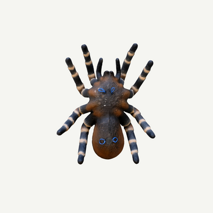 100370 Leitold Bird Spider