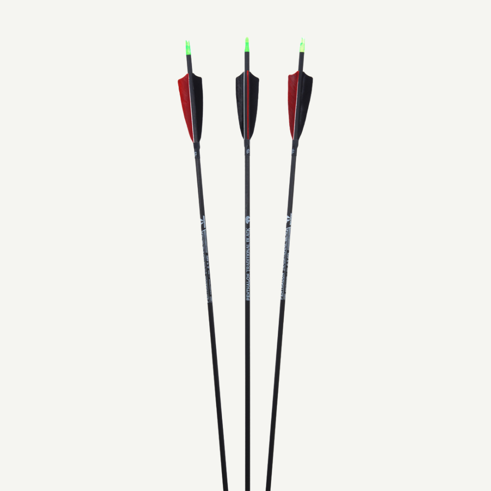 Penthalon Carbon Arrows 40812 Traditonal Black Natural Feathers