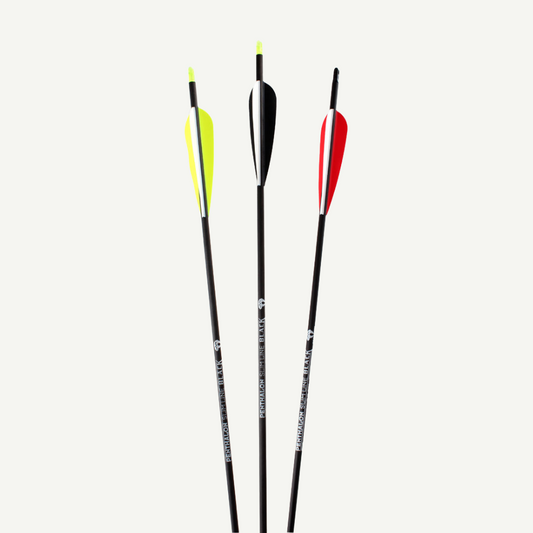 Penthalon Carbonpfeile 40821 Slim Line Black Fletches