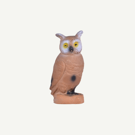 60043 Longlife Little Owl