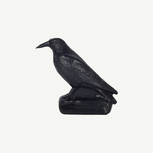 60172 FB Carrion Crow