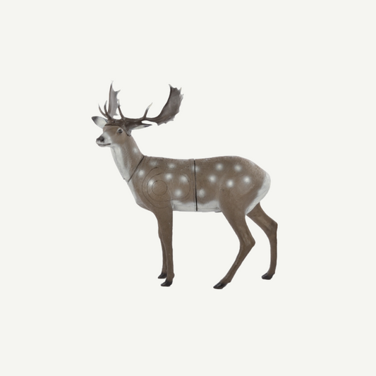 60239 FB Standing Fallow Deer