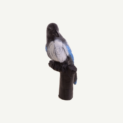 100420 IBB 3D Target magpie