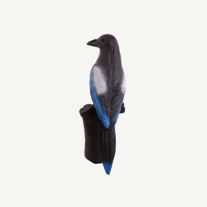 100420 IBB 3D Target magpie