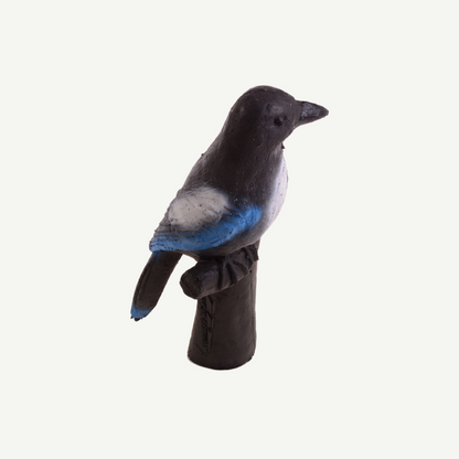 100420 IBB 3D Target magpie