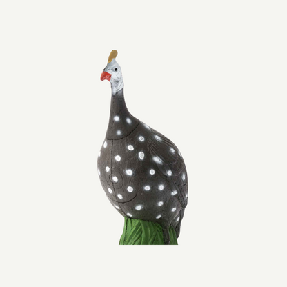 100430 IBB 3D-Target Guinea Fowl