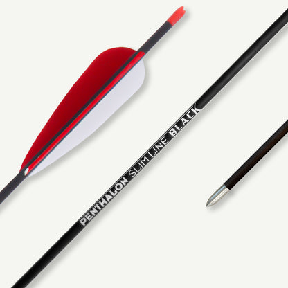 Penthalon Carbon Arrows Slim Line Black Natural Feathers Color Edition