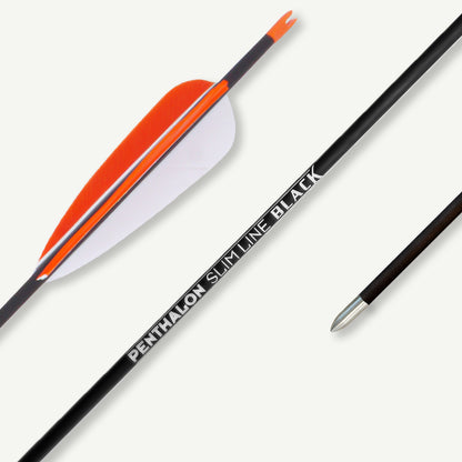 Penthalon Carbon Arrows Slim Line Black Natural Feathers Color Edition