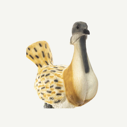 100422 IBB 3D Target Bustard 